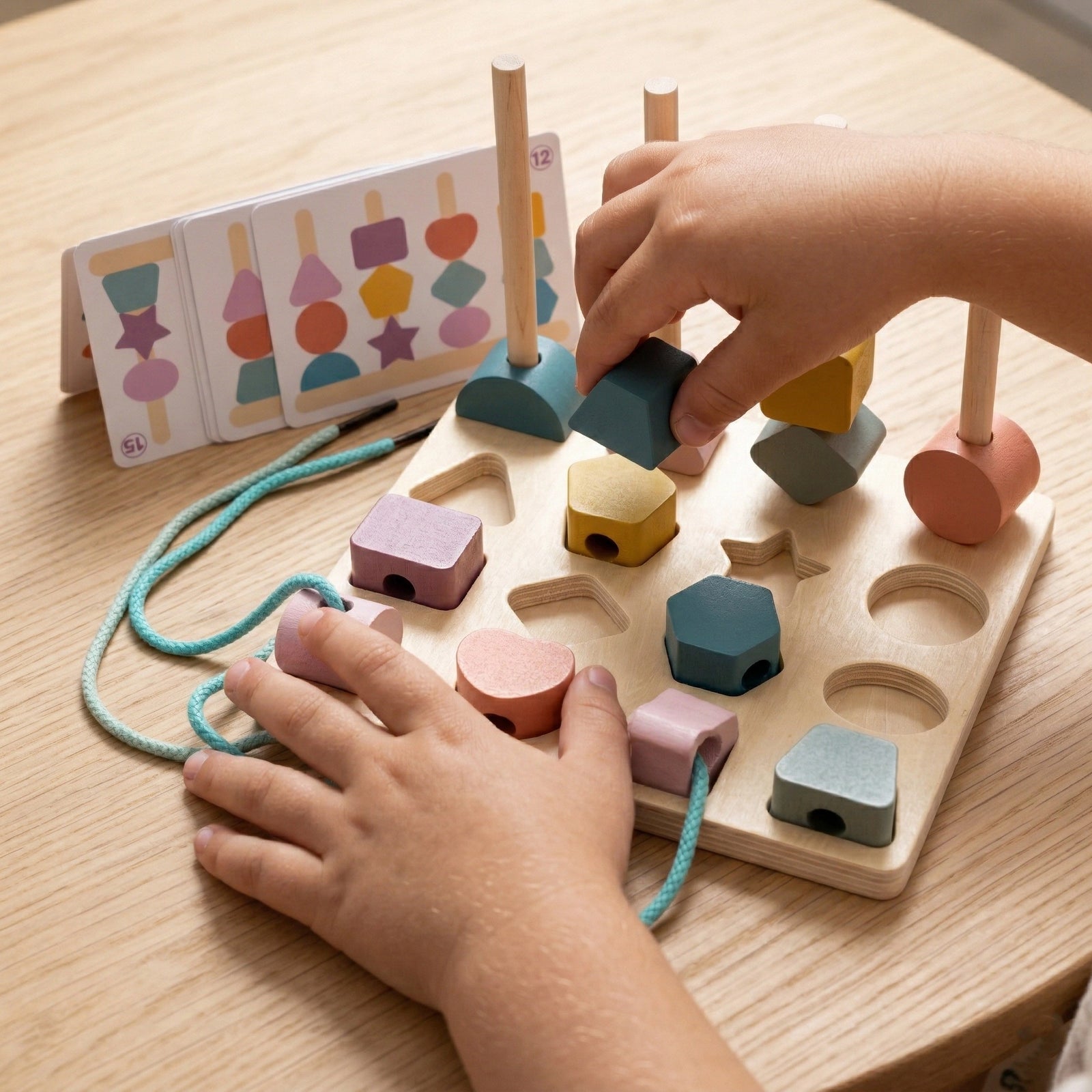 Montessori Shape Matching Toy